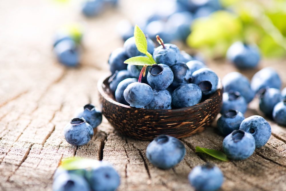 Blueberry, Buah Yang Dipercaya Mampu Melawan Keriput