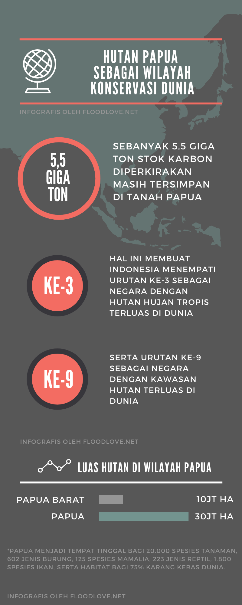 Infografis Hutan Papua